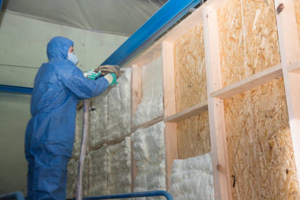 Best Insulation Inspection Services  in Lost Hills, CA