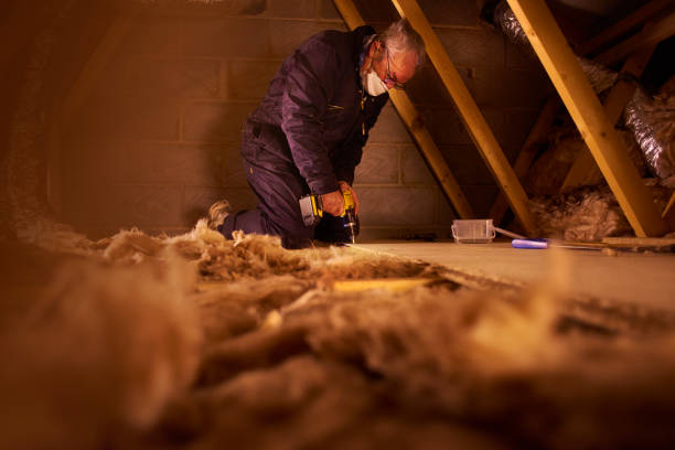 Best Spray Foam Insulation  in Lost Hills, CA